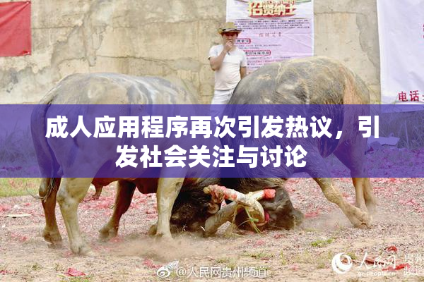 成人应用程序再次引发热议，引发社会关注与讨论