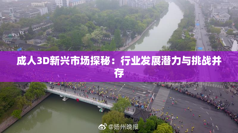 成人3D新兴市场探秘：行业发展潜力与挑战并存