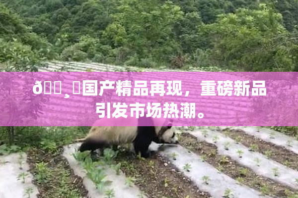 🌸‌国产精品再现，重磅新品引发市场热潮。