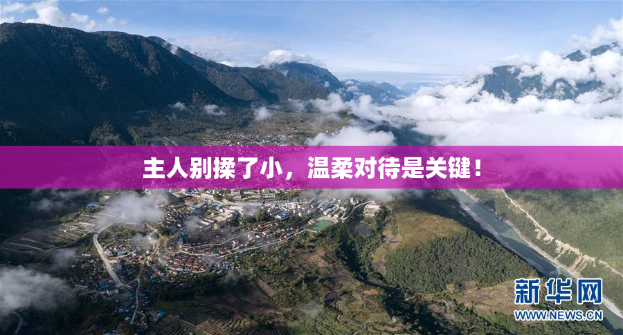 主人别揉了小，温柔对待是关键！
