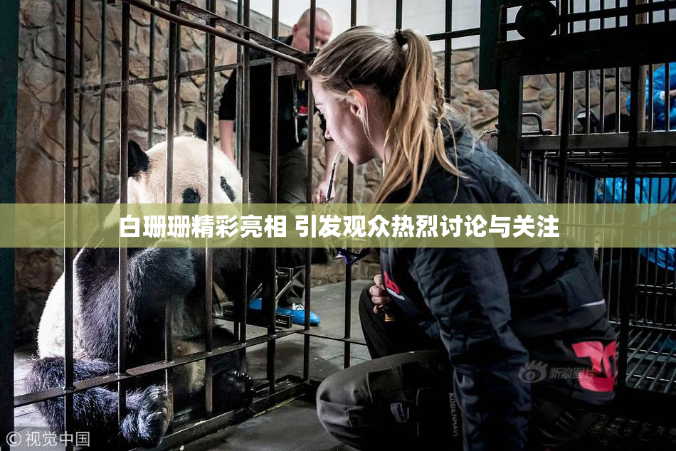白珊珊精彩亮相 引发观众热烈讨论与关注
