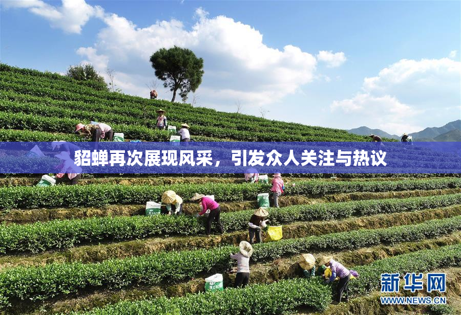 貂蝉再次展现风采，引发众人关注与热议