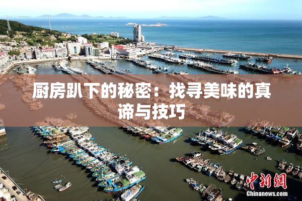 厨房趴下的秘密：找寻美味的真谛与技巧