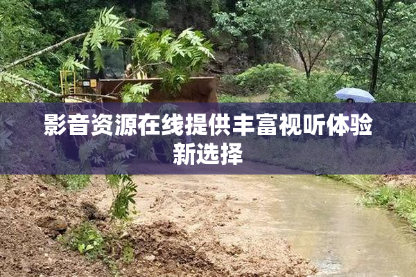 影音资源在线提供丰富视听体验新选择