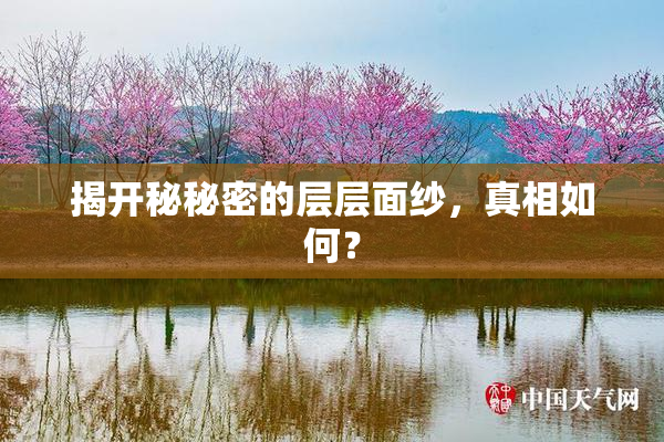 揭开秘秘密的层层面纱，真相如何？