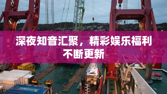深夜知音汇聚，精彩娱乐福利不断更新