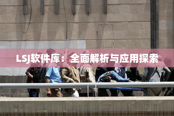 LSJ软件库：全面解析与应用探索