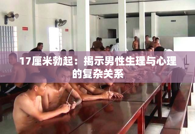 17厘米勃起：揭示男性生理与心理的复杂关系