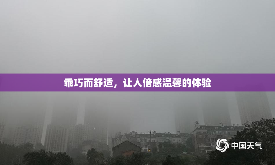 乖巧而舒适，让人倍感温馨的体验