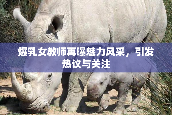 爆乳女教师再曝魅力风采，引发热议与关注