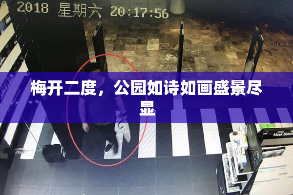 梅开二度，公园如诗如画盛景尽显