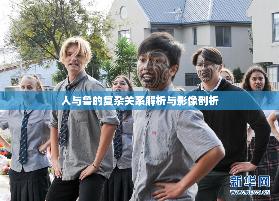 人与鲁的复杂关系解析与影像剖析