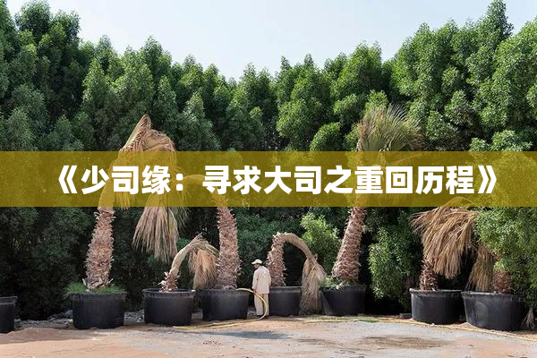 《少司缘：寻求大司之重回历程》