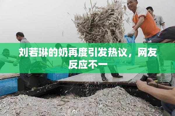 刘若琳的奶再度引发热议，网友反应不一