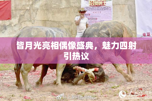 皆月光亮相偶像盛典，魅力四射引热议