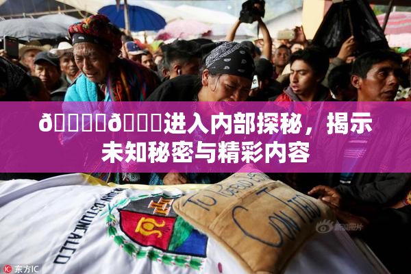 🔞‌🍌进入内部探秘，揭示未知秘密与精彩内容