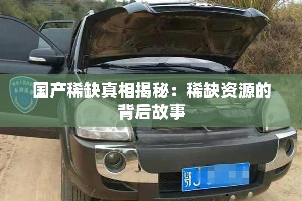 国产稀缺真相揭秘：稀缺资源的背后故事