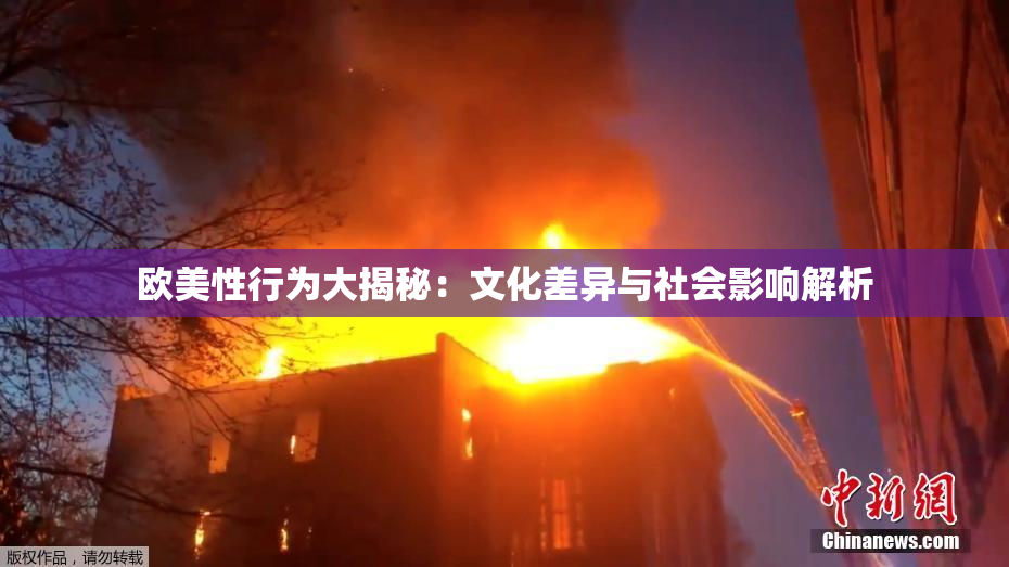 欧美性行为大揭秘：文化差异与社会影响解析