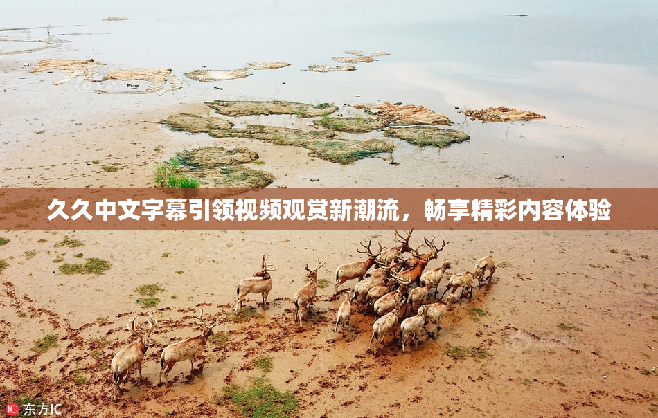 久久中文字幕引领视频观赏新潮流，畅享精彩内容体验