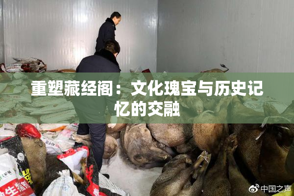 重塑藏经阁：文化瑰宝与历史记忆的交融