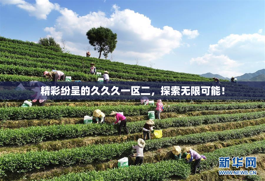 精彩纷呈的久久久一区二，探索无限可能！