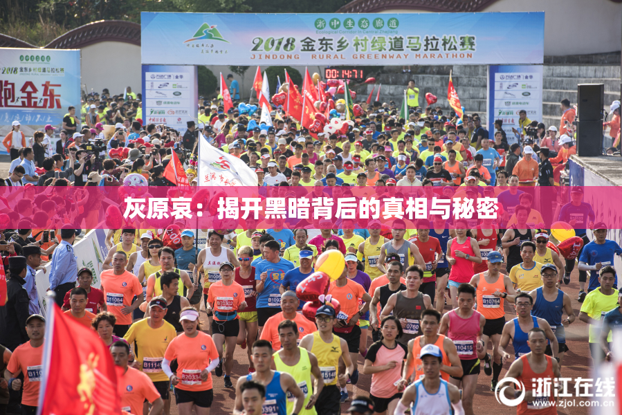 灰原哀：揭开黑暗背后的真相与秘密