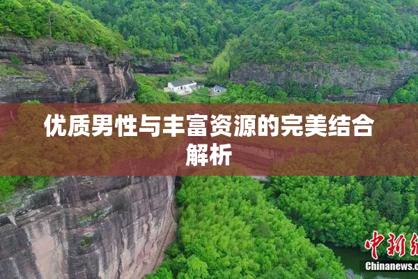 优质男性与丰富资源的完美结合解析