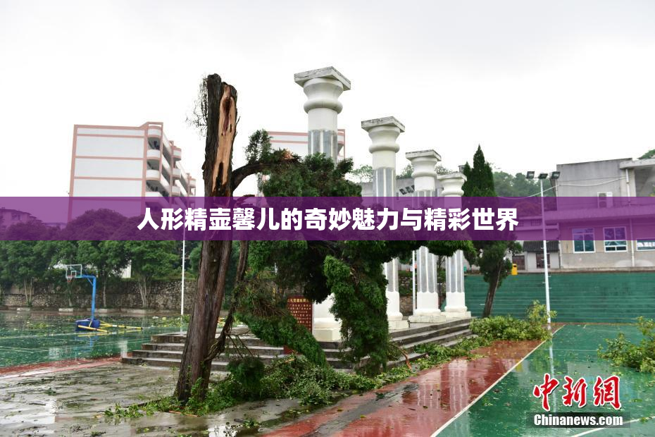 人形精壶馨儿的奇妙魅力与精彩世界