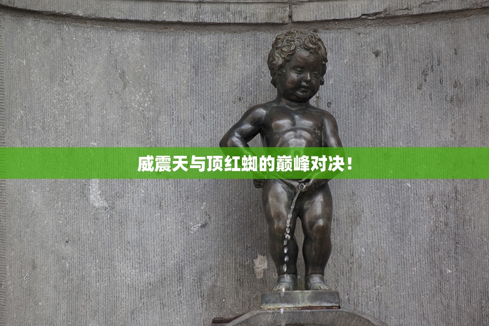 威震天与顶红蜘的巅峰对决！