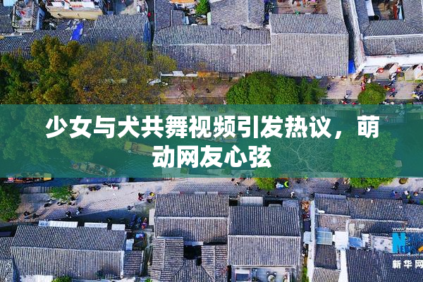 少女与犬共舞视频引发热议，萌动网友心弦