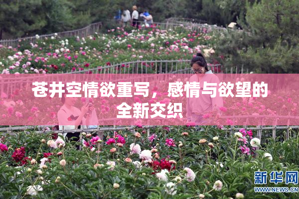 苍井空情欲重写，感情与欲望的全新交织