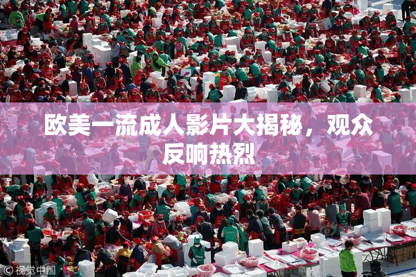 欧美一流成人影片大揭秘，观众反响热烈