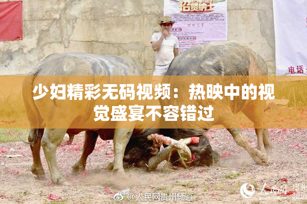 少妇精彩无码视频：热映中的视觉盛宴不容错过