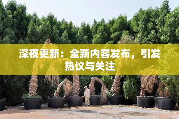 深夜更新：全新内容发布，引发热议与关注