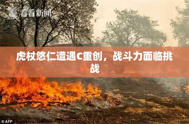 虎杖悠仁遭遇C重创，战斗力面临挑战