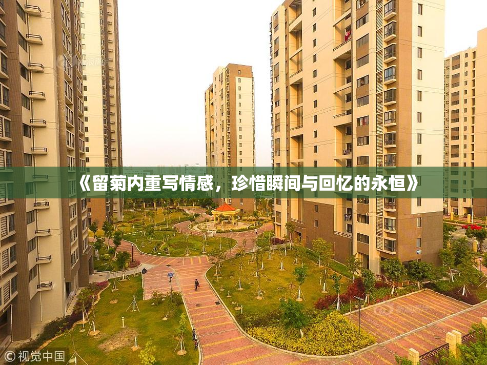 《留菊内重写情感，珍惜瞬间与回忆的永恒》