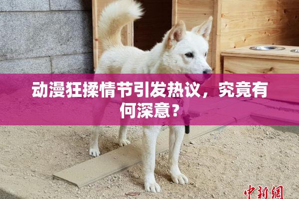 动漫狂揉情节引发热议，究竟有何深意？