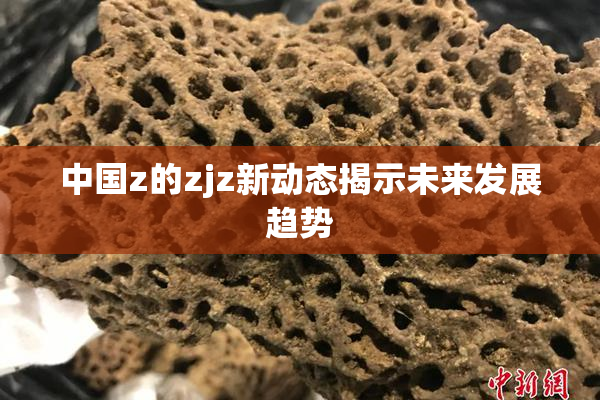中国z的zjz新动态揭示未来发展趋势