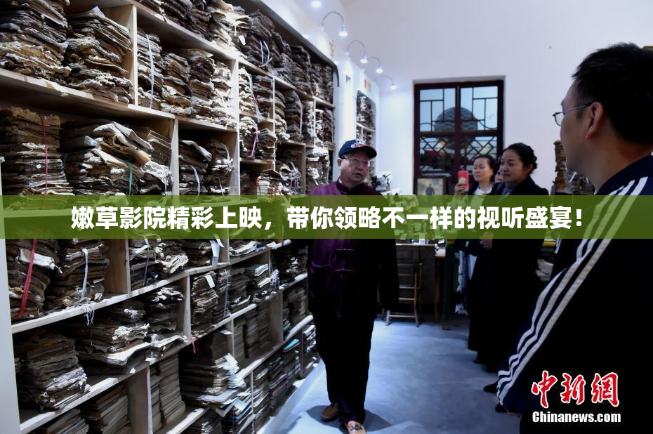 嫩草影院精彩上映，带你领略不一样的视听盛宴！