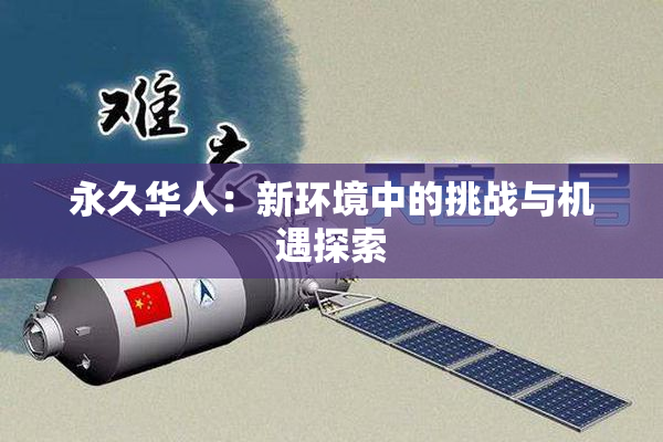 永久华人：新环境中的挑战与机遇探索