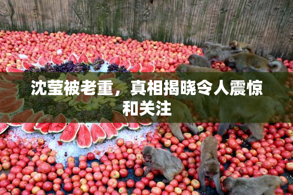 沈莹被老重，真相揭晓令人震惊和关注