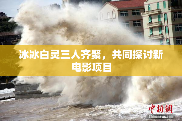 冰冰白灵三人齐聚，共同探讨新电影项目
