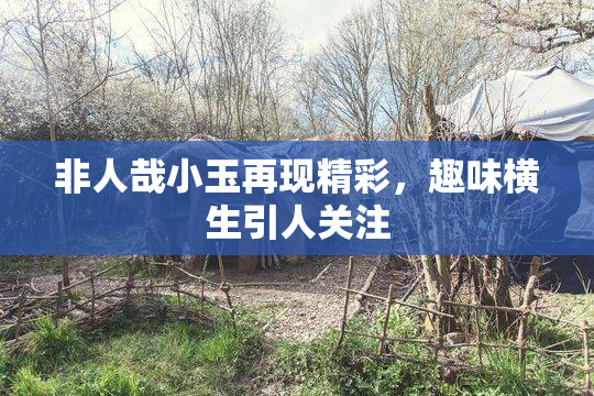 非人哉小玉再现精彩，趣味横生引人关注
