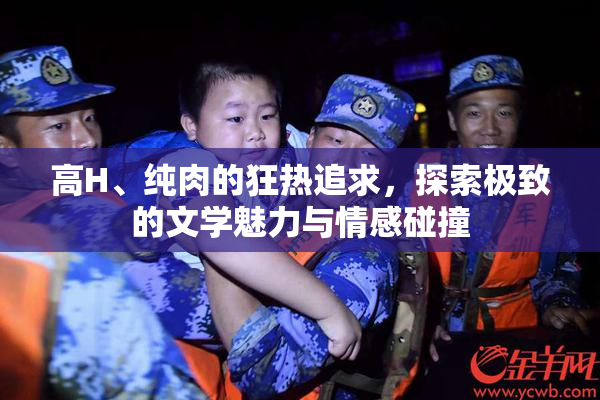 高H、纯肉的狂热追求，探索极致的文学魅力与情感碰撞