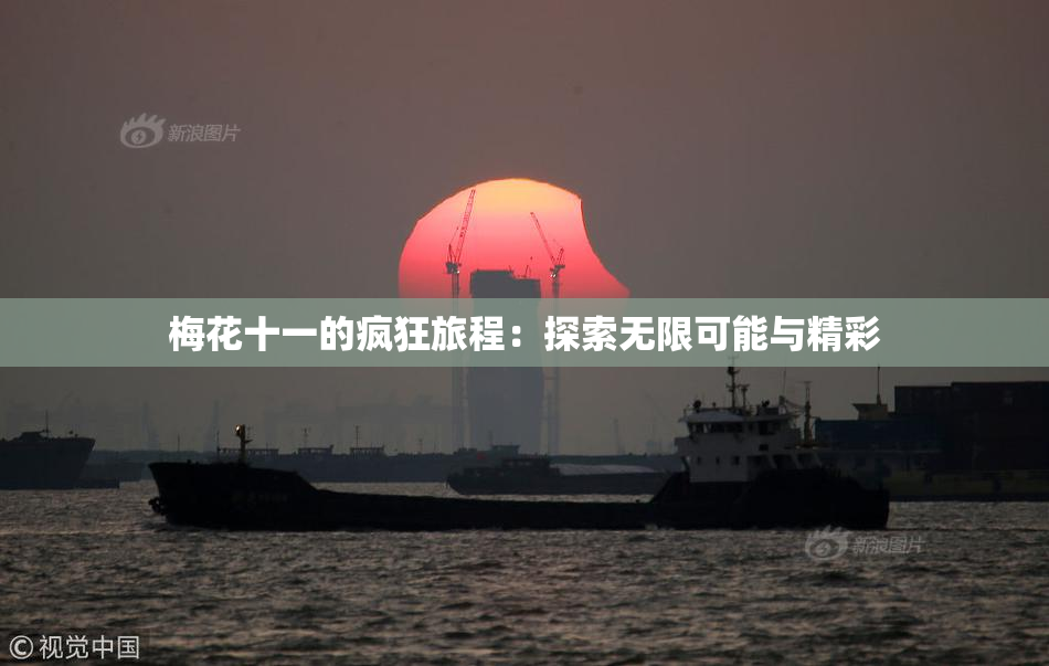 梅花十一的疯狂旅程：探索无限可能与精彩