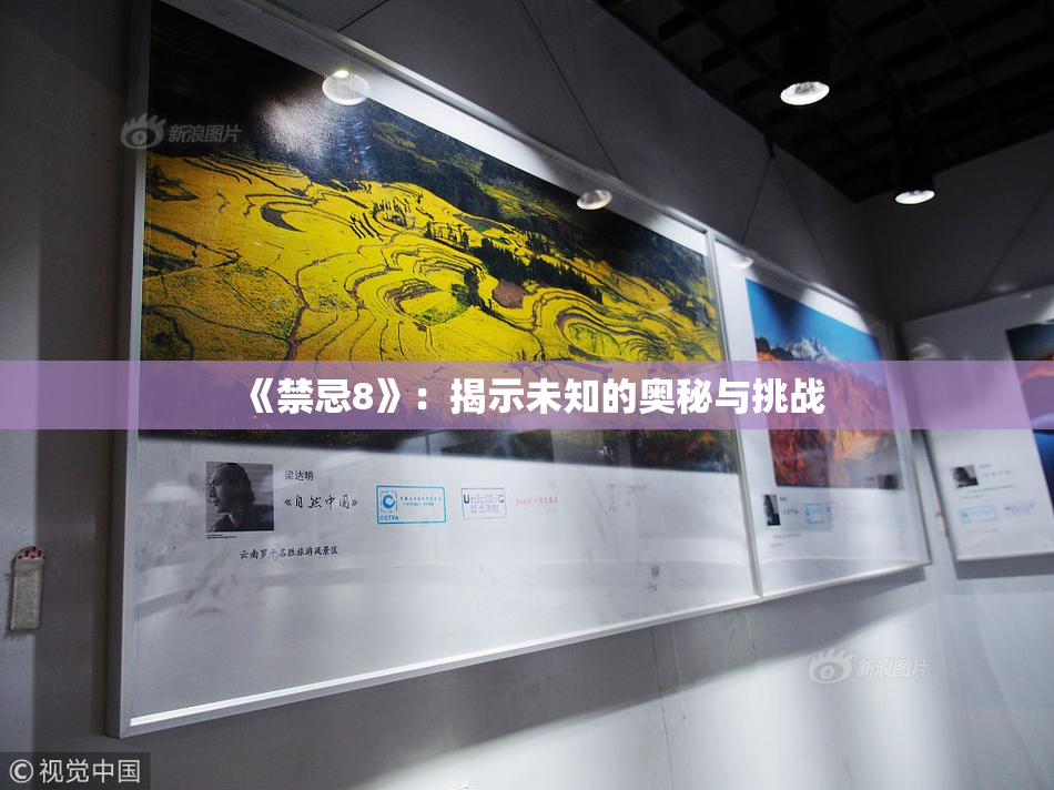 《禁忌8》：揭示未知的奥秘与挑战