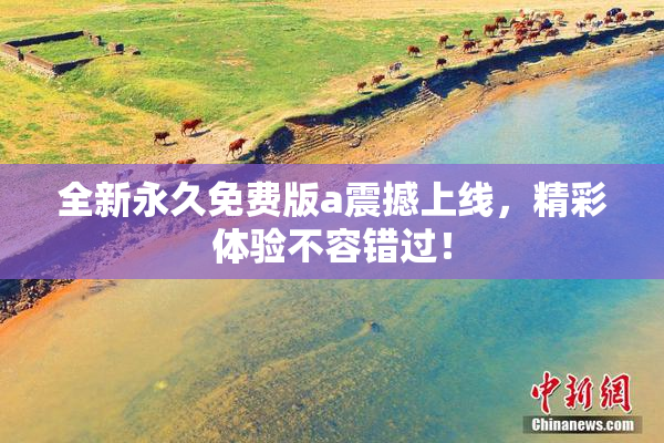 全新永久免费版a震撼上线，精彩体验不容错过！