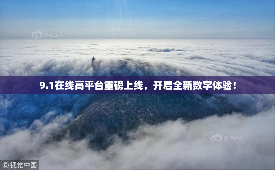 9.1在线高平台重磅上线，开启全新数字体验！
