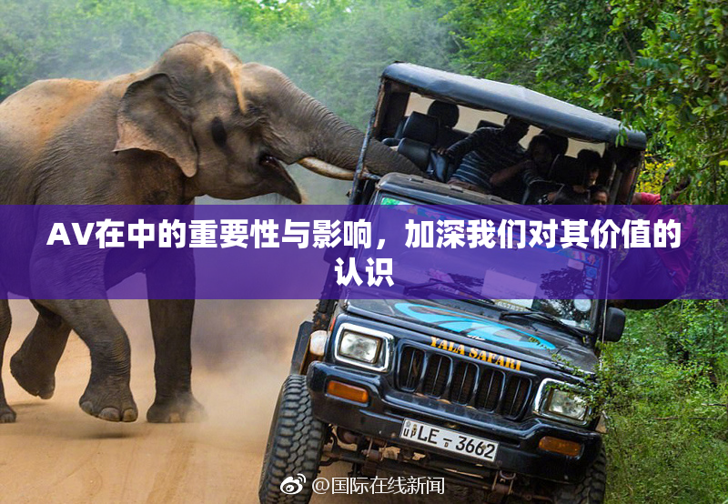 AV在中的重要性与影响，加深我们对其价值的认识