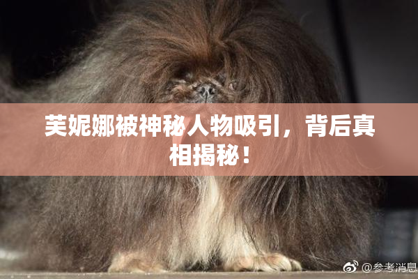 芙妮娜被神秘人物吸引，背后真相揭秘！